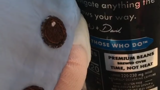 Life Advice With Theo Bunny